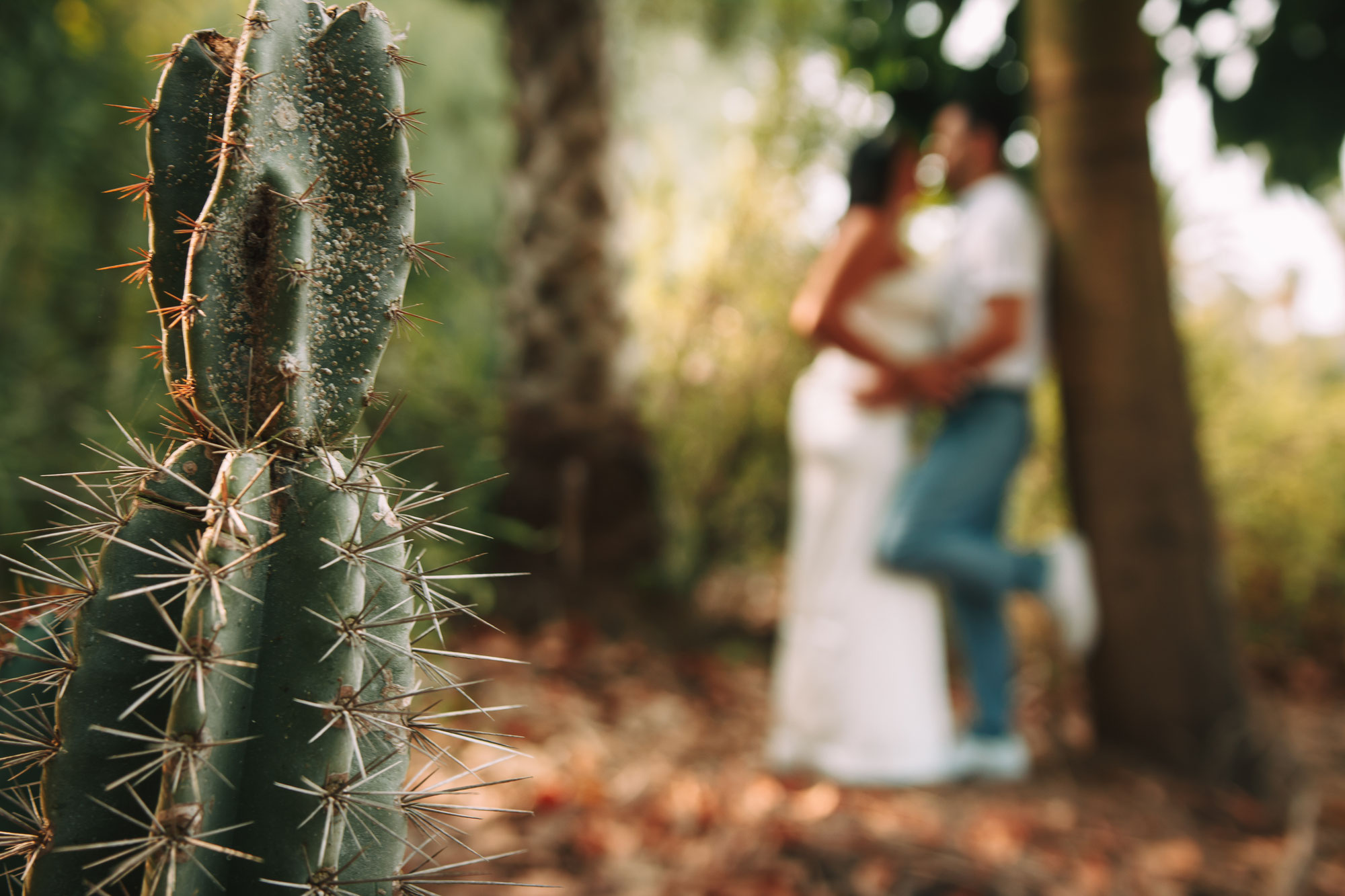 12-wedding-photography-locations-in-center